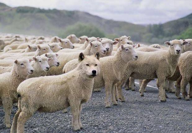 386fc705015fa9c48020689c758d376592e6e8b7056fc7b1065a37d890c4e257_large